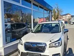 Crystal white pearl Gebraucht 2020 Subaru Forester Comfort SUV | 28.690 € (Fairer Preis)