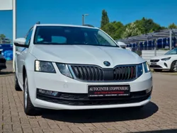 Weiß Gebraucht 2017 Skoda Octavia Ambition Kombi | 8.990 € (Guter Preis)
