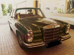 Grün Gebraucht 1967 Mercedes 250 SE Limousine | 29.500 €