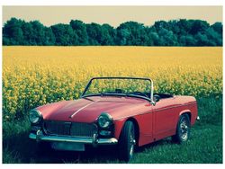 Rot Gebraucht 1963 MG Midget Cabrio | 16.000 €