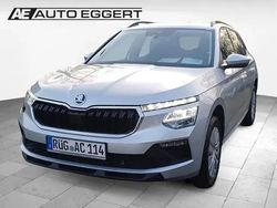 Silber Gebraucht 2024 Skoda Kamiq Essence SUV | 23.489 € (Etwas zu teuer)