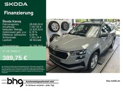 Grau Gebraucht 2024 Skoda Karoq Selection SUV | 28.830 € (Guter Preis)