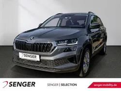Grau Gebraucht 2024 Skoda Karoq Selection SUV | 33.380 € (Fairer Preis)