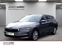 Grau Neu 2025 Skoda Octavia Selection Kombi | 34.990 € (Fairer Preis)