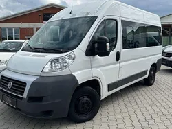 Weiß Gebraucht 2011 Fiat Ducato Van | 10.999 € (Teuer)
