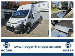 Weiß Neu 2025 Fiat Ducato Van | 40.630 € (Etwas zu teuer)