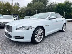 Weiß Gebraucht 2016 Jaguar XJ Luxury Limousine | 21.990 €