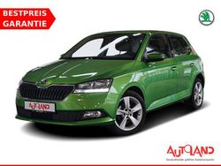 Grün Gebraucht 2019 Skoda Fabia Active Kleinwagen | 12.950 € (Teuer)