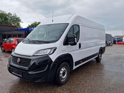 Weiß Gebraucht 2021 Fiat Ducato Van | 20.000 € (Fairer Preis)
