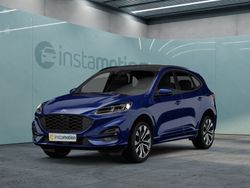 Blau Gebraucht 2023 Ford Kuga ST-Line X SUV | 29.400 € (Etwas zu teuer)
