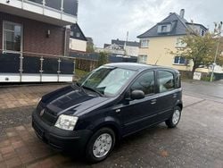 Blau Gebraucht 2009 Fiat Panda Kleinwagen | 2.850 € (Fairer Preis)