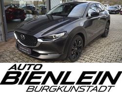 Grau Neu 2025 Mazda CX-30 Homura-Line SUV | 25.600 €