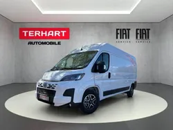 Weiss (pastell)) (weiss Neu 2025 Fiat Ducato Van | 42.825 € (Fairer Preis)