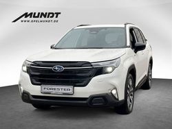Weiß Neu 2025 Subaru Forester Platinum SUV | 44.820 € (Fairer Preis)