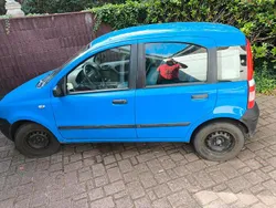 Blau Gebraucht 2006 Fiat Panda Kleinwagen | 300 €