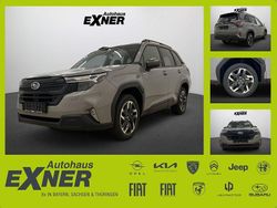 Grau Neu 2025 Subaru Forester SUV | 39.999 € (Superpreis)