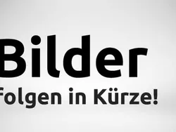 Schwarz Gebraucht 2021 Renault Clio V Kleinwagen | 13.480 € (Guter Preis)