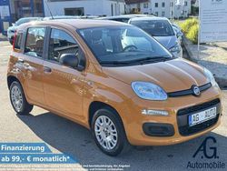 Orange Gebraucht 2019 Fiat Panda Kleinwagen | 11.200 € (Etwas zu teuer)