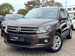 Braun Gebraucht 2015 VW Tiguan Trendline SUV | 13.450 € (Etwas zu teuer)