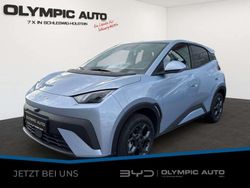 Ice blue Neu 2025 BYD Dolphin Comfort Kleinwagen | 26.490 € (Fairer Preis)