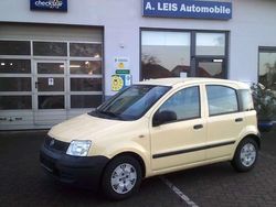 Mambo gelb Gebraucht 2010 Fiat Panda Active Kleinwagen | 3.200 € (Fairer Preis)