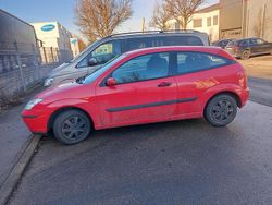 Rot Gebraucht 2004 Ford Focus Kleinwagen | 700 € (Guter Preis)