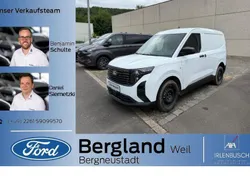 Frozen white weiß Neu 2025 Ford Transit Trend Van | 25.490 € (Guter Preis)