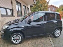 Schwarz Gebraucht 2018 Fiat Panda Kleinwagen | 7.000 €