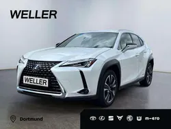 Weiss Gebraucht 2021 Lexus UX 250h SUV | 25.790 € (Fairer Preis)
