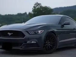 Grün Gebraucht 2015 Ford Mustang | 22.999 € (Superpreis)