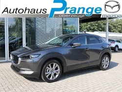 Machine gray Neu 2024 Mazda CX-30 Exclusive-Line SUV | 30.885 €