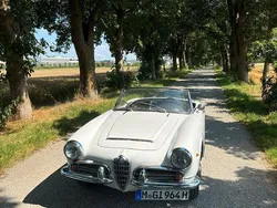 Weiß Gebraucht 1964 Alfa Romeo Giulia Spider Cabrio | 56.000 €