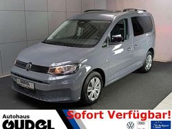 Pure grey Neu 2025 VW Caddy Basis Van / Kleinbus | 31.640 € (Fairer Preis)