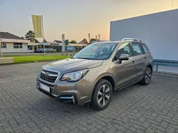 Braun Gebraucht 2017 Subaru Forester Exclusive+ SUV | 8.400 € (Superpreis)