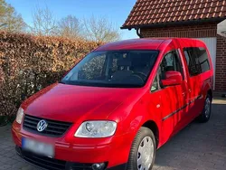 Rot Gebraucht 2009 VW Caddy Maxi Van / Kleinbus | 7.290 € (Fairer Preis)