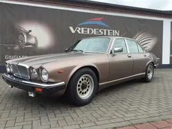 Bronze Gebraucht 1984 Jaguar XJ12 Limousine | 4.550 €