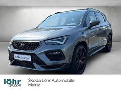 Grau Gebraucht 2023 Cupra Ateca SUV | 32.980 € (Guter Preis)