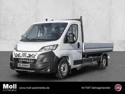 Weiss Neu 2024 Fiat Ducato Van | 36.480 € (Etwas zu teuer)