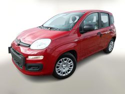 Rot Neu 2025 Fiat Panda Kleinwagen | 13.478 € (Guter Preis)