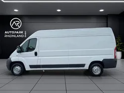 Weiß Gebraucht 2010 Fiat Ducato Van | 3.990 € (Guter Preis)