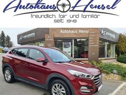 Ruby wine / mic Gebraucht 2017 Hyundai Tucson Trend SUV | 14.990 € (Fairer Preis)