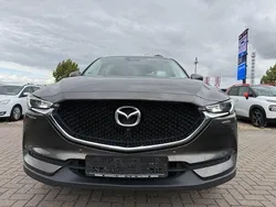 Braun Gebraucht 2019 Mazda CX-5 Kangei SUV | 11.500 € (Fairer Preis)