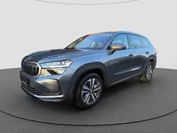 Grau Gebraucht 2024 Skoda Kodiaq Selection SUV | 53.149 € (Teuer)