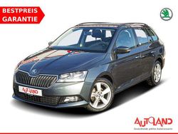 Grau Gebraucht 2021 Skoda Fabia Active Kombi | 16.950 € (Teuer)