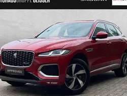 Rot Gebraucht 2024 Jaguar F-Pace R-Dynamic SUV | 59.890 € (Teuer)