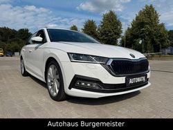 Bila candy/candyweiss Gebraucht 2023 Skoda Octavia Kombi | 29.999 € (Teuer)