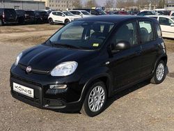 Schwarz Gebraucht 2024 Fiat Panda Limousine | 12.689 € (Fairer Preis)