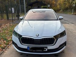 Weiß Gebraucht 2021 Skoda Octavia Ambition Kombi | 19.500 € (Fairer Preis)