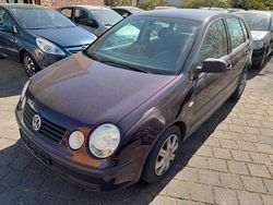 Violet Gebraucht 2003 VW Polo Kleinwagen | 550 € (Superpreis)