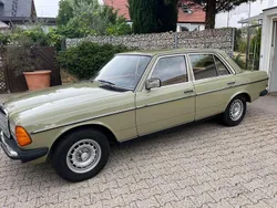 Grün Gebraucht 1984 Mercedes 200 Limousine | 9.590 €
